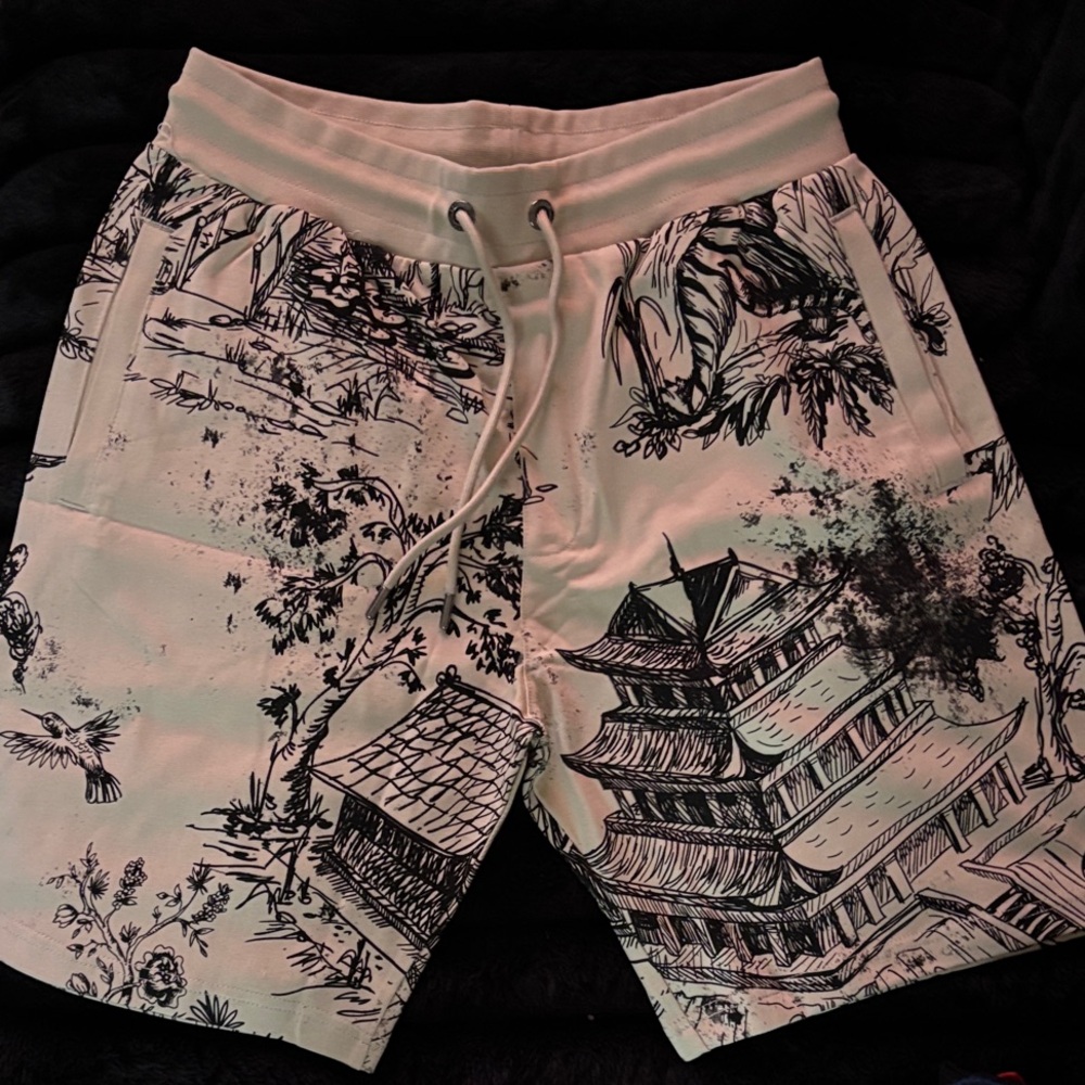 Scenic Print Men's Shorts